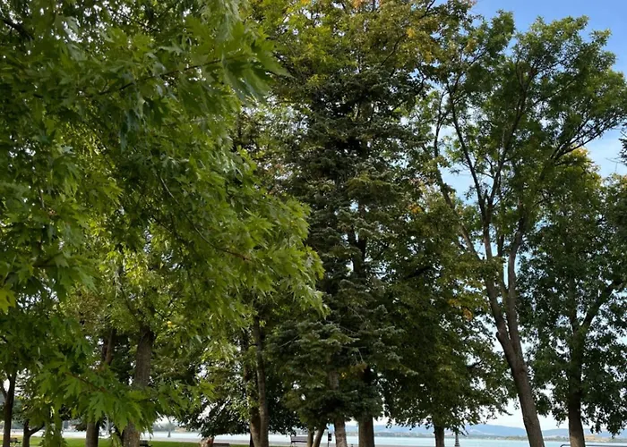 شقة No10 جولوباك